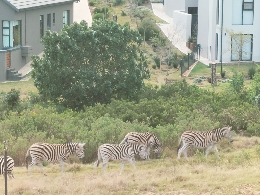0 Bedroom Property for Sale in Outeniquasbosch Western Cape